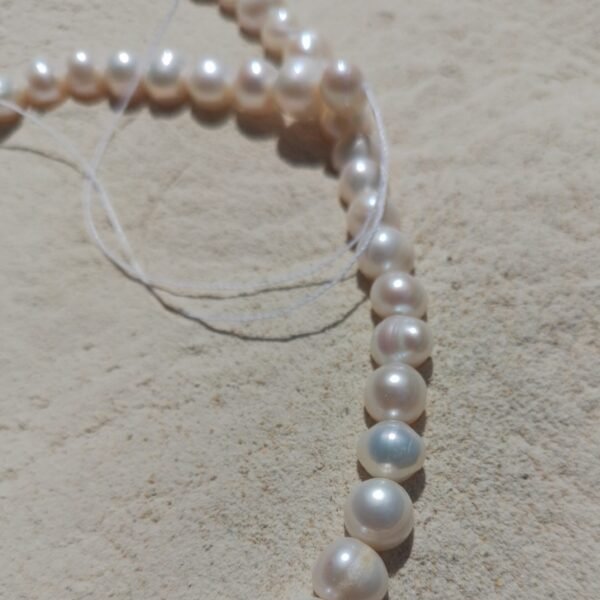 Conta de Pérola Branca 5-6mm