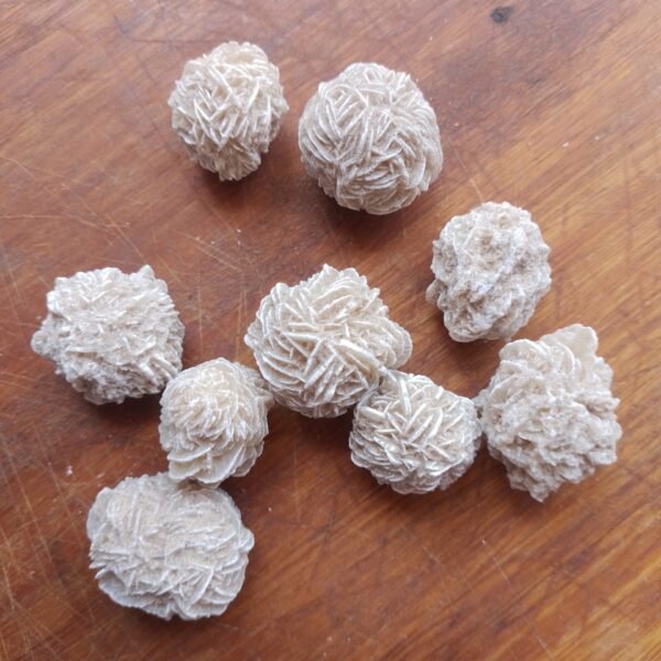 RD53P Rosa do Deserto P