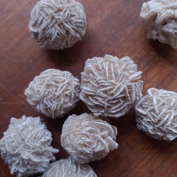 RD53P Rosa do Deserto P