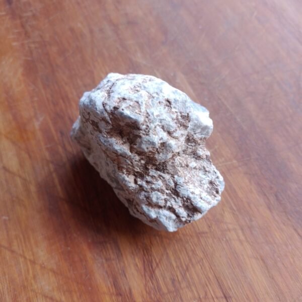 20251226_133443 Angelita ExG