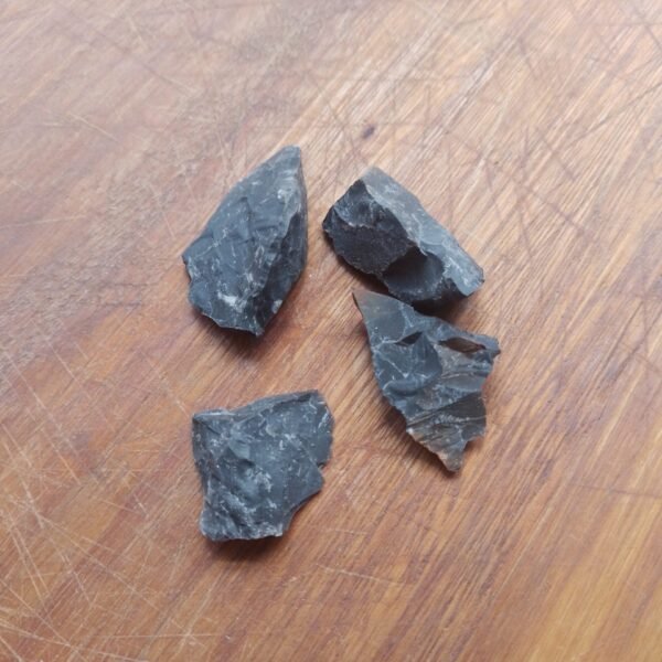 20260105_121708 Onix Preta PP