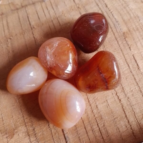 Ágata Vermelha Rolada P