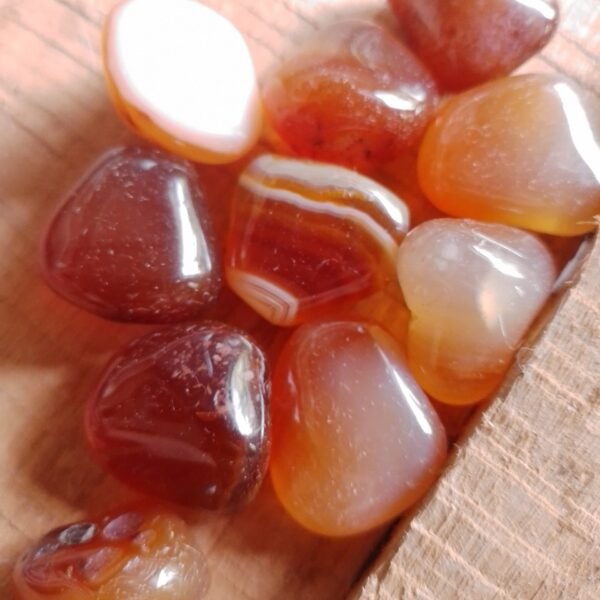 Ágata Vermelha Rolada PP