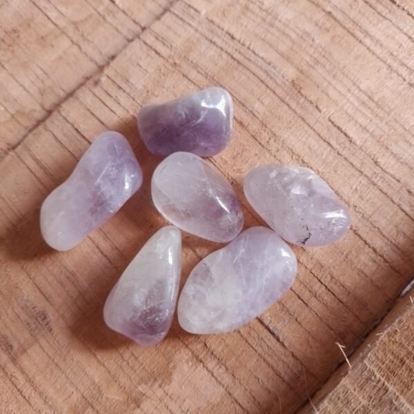 20260203_165330 Ametista Rolada P