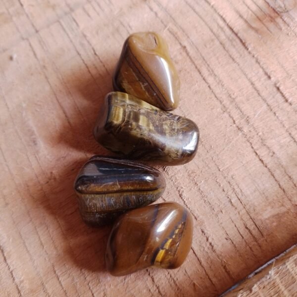 ROOT32P Olho de Tigre Rolado P