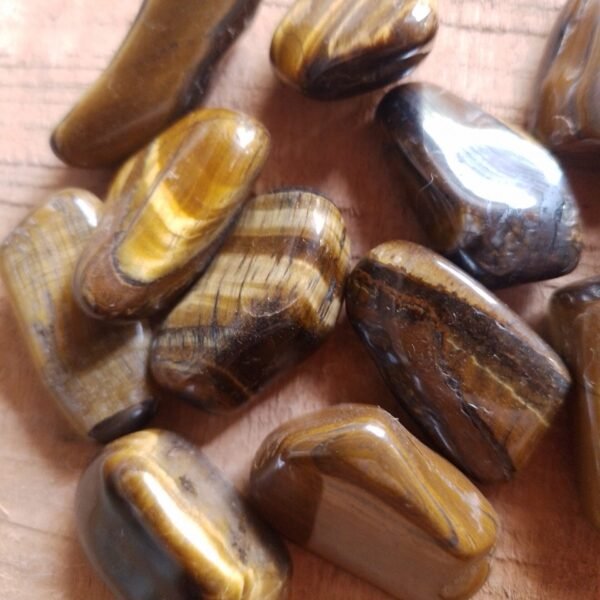 ROCIQ16P Olho de Tigre Rolado PP