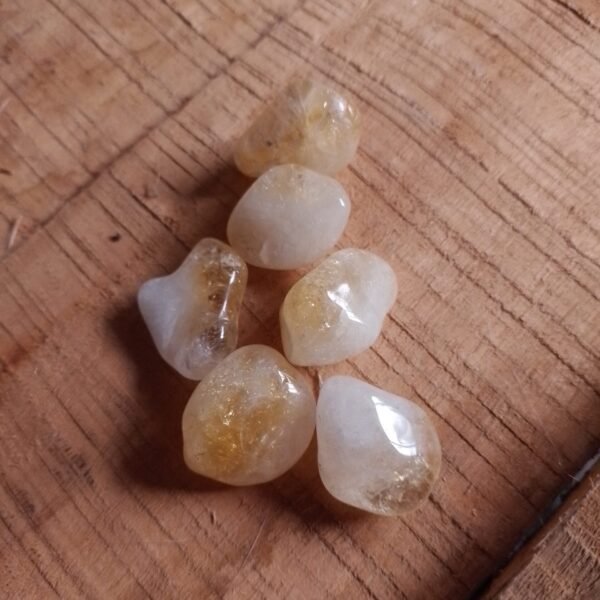 ROCIQ16PP Citrino Rolado PP