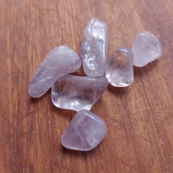 ROARF04PP Ametista Rose de France Rolado PP